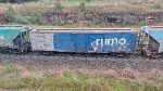 RUMO FHD625517-5